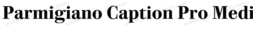 Parmigiano Caption Pro Medium字体转换